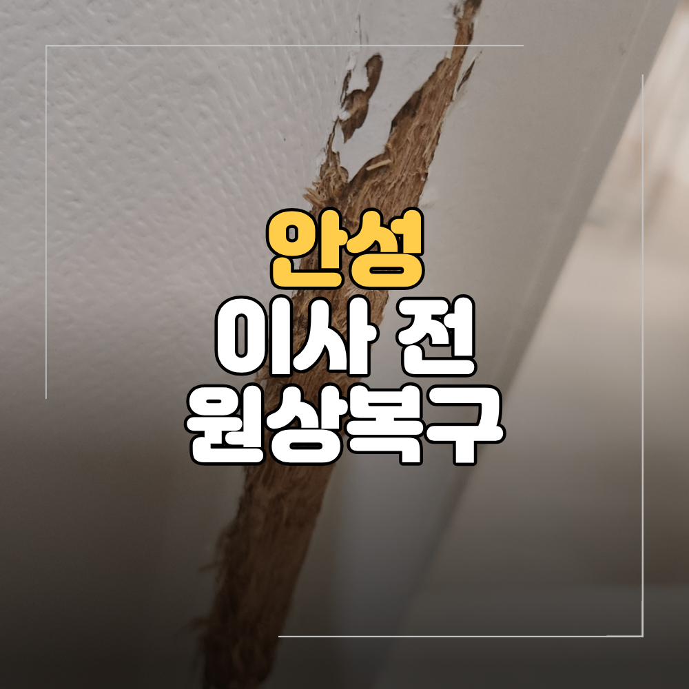 안성 이사 전 원상복구 나무 문틀 부분 보수 교체 없이 복원