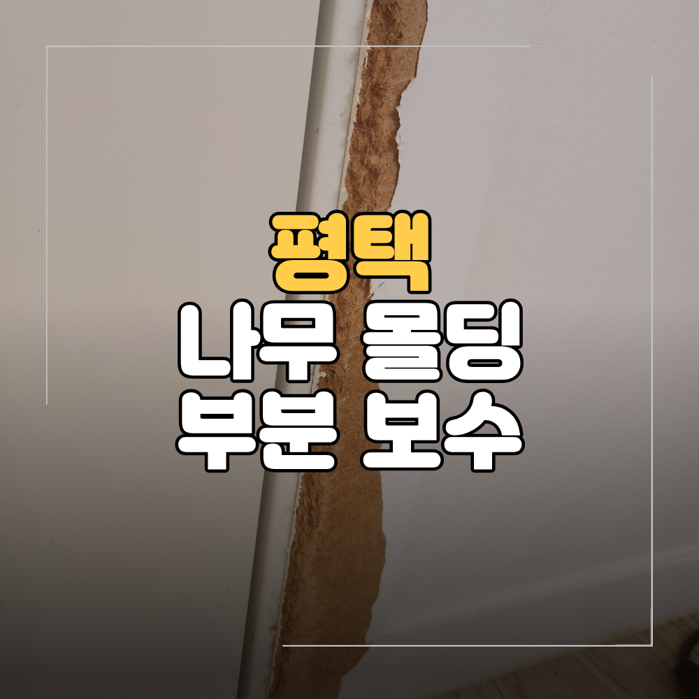 평택 시트지 나무 몰딩 부분 보수 비용 반려견 훼손